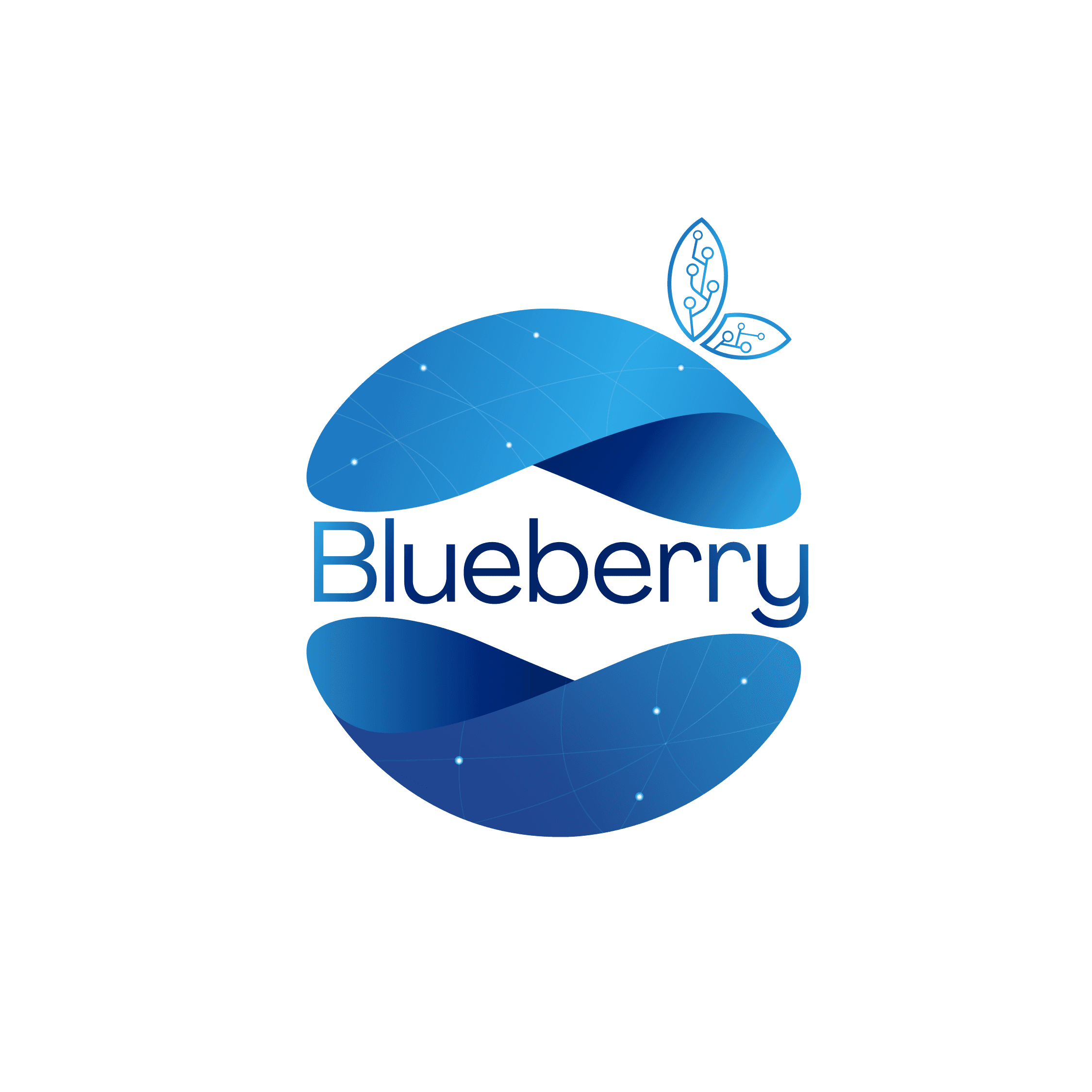 Blueberry 360 Logo